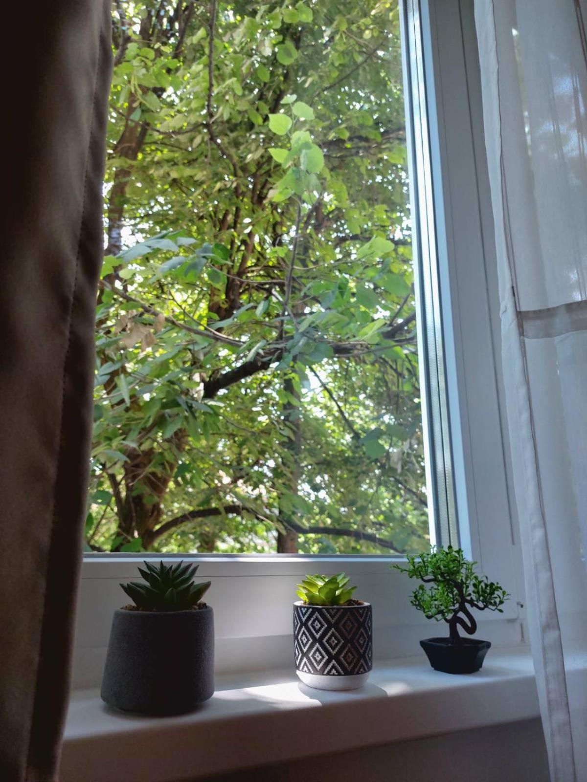 Apartman Rejna SJJ Extérieur photo
